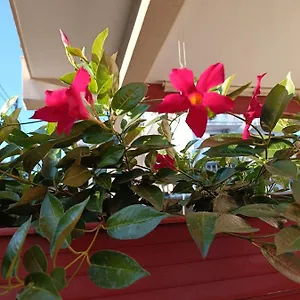 https://peppes-house.catania-hotels.net